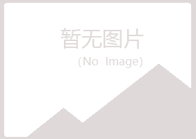 青铜峡匆匆水泥有限公司